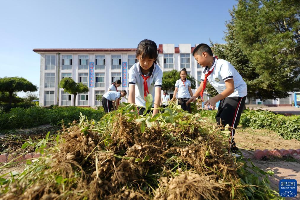 博万通娱乐平台官方网
